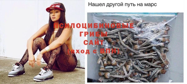 а пвп мука Алзамай