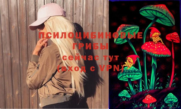 а пвп мука Алзамай