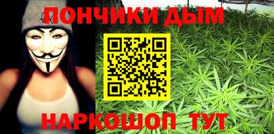 ГАЛЛЮЦИНОГЕННЫЕ ГРИБЫ Сланцы