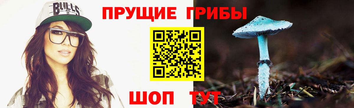 Сосновый Бор  Галлюциногенные грибы Cubensis  Вход с VPN 